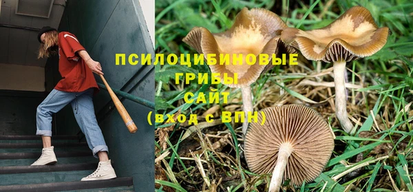 таблы Елизово