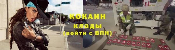 мет Ельня