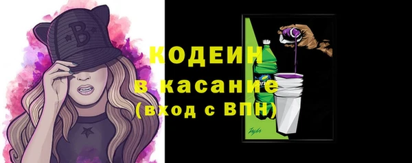 мет Ельня