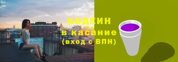 мет Ельня