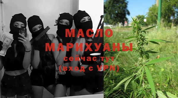 мет Ельня