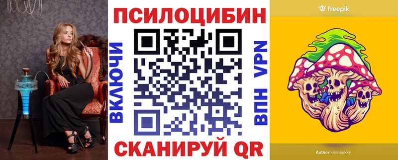 Псилоцибиновые грибы Psilocybe Краснообск